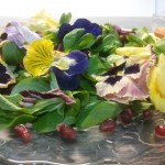 insalata con fiori eduli con emulsione ai lamponi