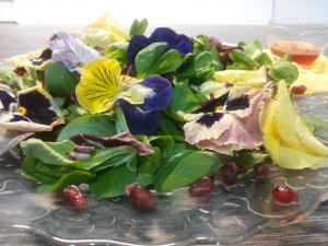 Insalata con fiori eduli, melograno ed emulsione all'aceto di lamponi