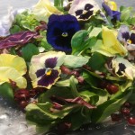 insalata con fiori eduli ed emulsione all’aceto di lamponi
