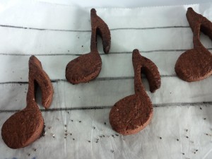 biscotti cioccolato e semi di Chia