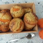 muffin albicocca e semi di Chia