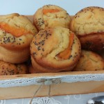 muffin albicocca e semi di Chia1 114_501