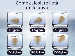 Immagine per distinguere freschezza dell'uovo