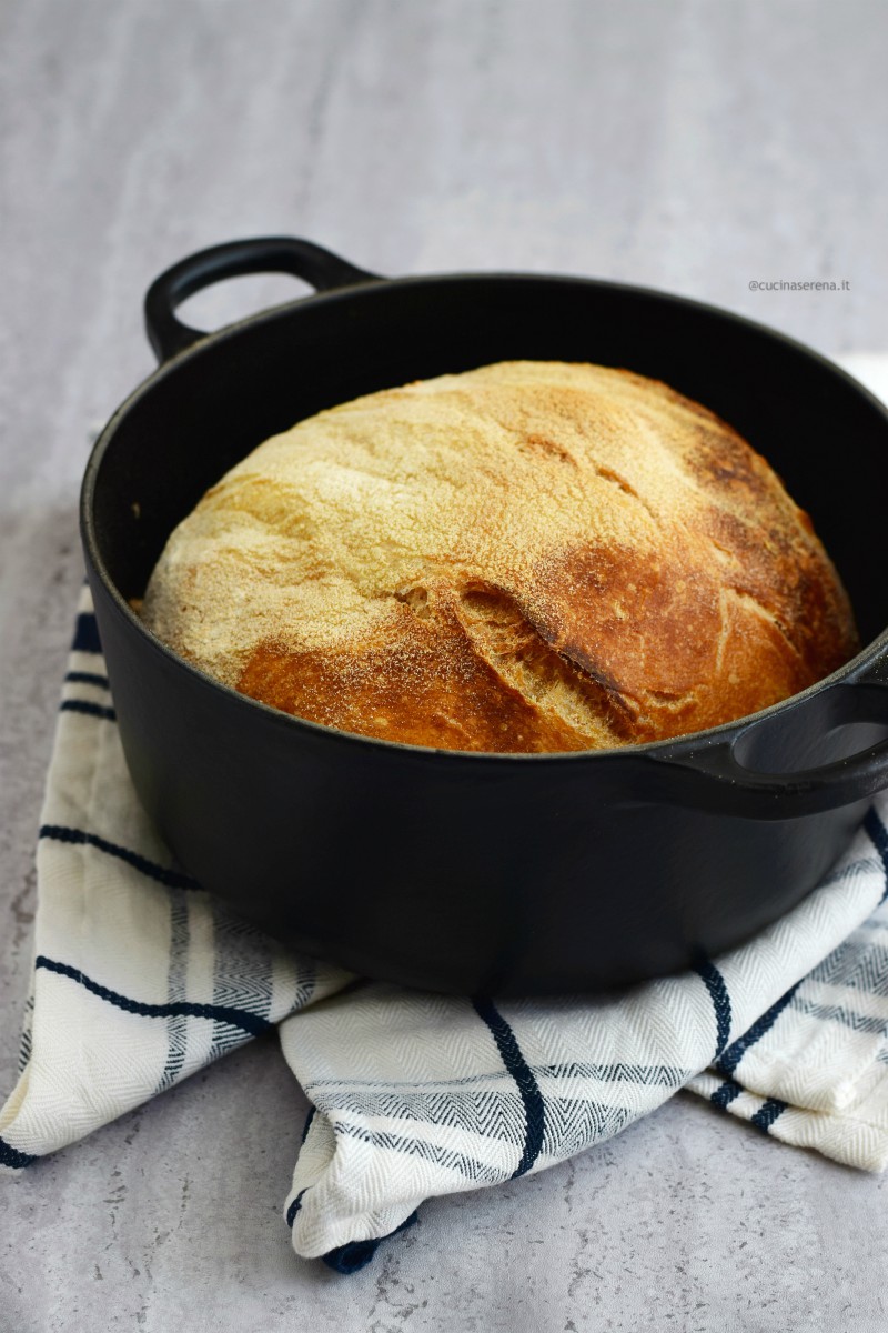 No knead bread - pane senza impasto