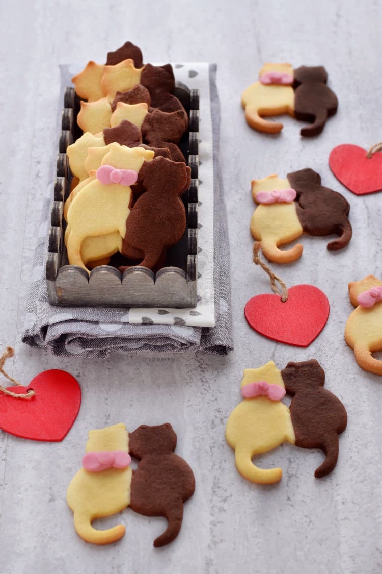 biscotti bigusto vaniglia e cacao a forma di gattini 